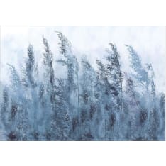 Artgeist Tall Grasses - Grey itseliimautuva fototapetti