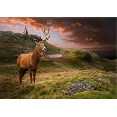 Artgeist Deer on Hill itseliimautuva fototapetti