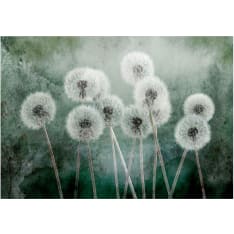 Artgeist Down Breeze itseliimautuva fototapetti