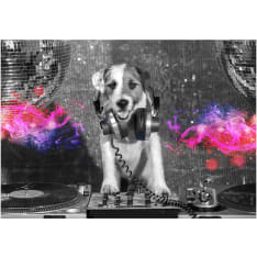 Artgeist DJ Dog itseliimautuva fototapetti
