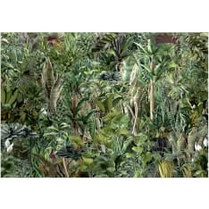 Artgeist Richness of Jungle itseliimautuva fototapetti