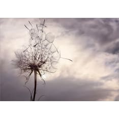 Artgeist Gentle Wind itseliimautuva fototapetti