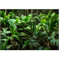 Artgeist Freshness of the Jungle fototapetti