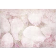 Artgeist Blown Leaves fototapetti