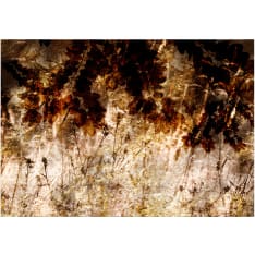 Artgeist Retro Meadow fototapetti