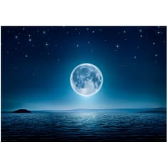 Artgeist Moonlit night itseliimautuva fototapetti