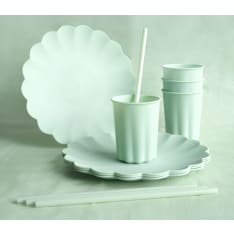 Reusable plastic straw with cleaning brush 23 cm 12 pcs/pack