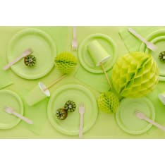 Paper plate 23 cm 6 pcs/pack