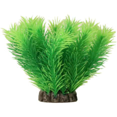 Aquael 10 cm bushy aquarium decorative plant