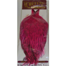 Whiting Cdl Cape Badger kukonniska