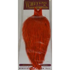 Whiting Cdl Cape Badger kukonniska
