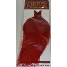 Whiting Cdl Cape Badger kukonniska