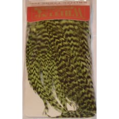 Whiting Bugger Pack niskanpala