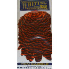 Whiting Hen Saddle kanansatula