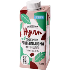 Juustoportti Hyvin proteiinijuoma 250 ml  minttu-kaakao laktoositon