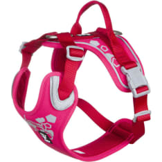 Hurtta Weekend Warrior rubiini koiran valjas