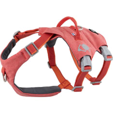 Hurtta Safeguard Harness
