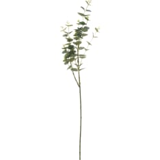 4Living 92cm eukalyptus