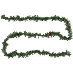 Winteria fir-red berries