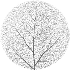 4Living Tree tabletti