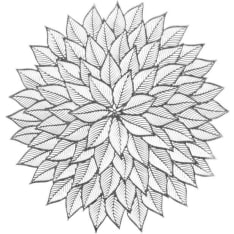 Winteria Flower tablet