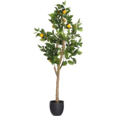 4Living 130 cm Sitruunapuu