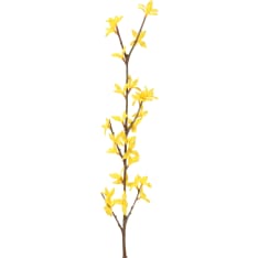 4Living Kevätpensas 74 cm oksa