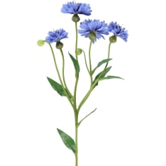 4Living Cornflower 61,5 cm Branch