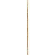 Tarmo Plant support bamboo 150 cm 5 pcs