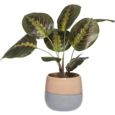 4Living Suojaruukku Riika 15,5 cm