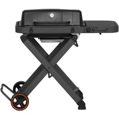 Mustang Fold Gas grill