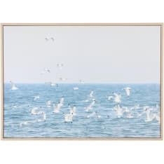 4Living Seagulls wall art