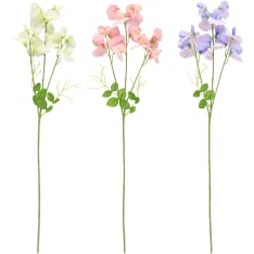 4Living 66cm tuoksuherne oksa lajitelma