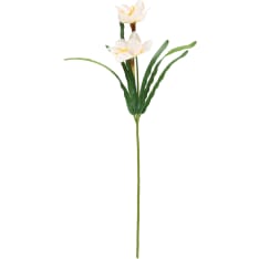 4Living Narsissi valkoinen/keltainen 52cm oksa