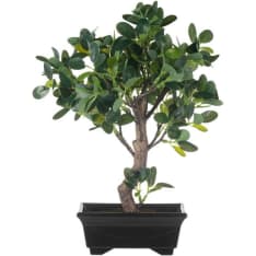 4Living Bonsai Ficus artificial plant