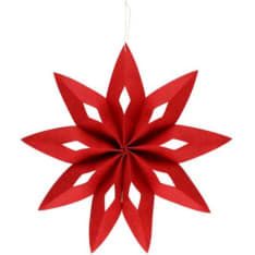 Winteria felt star