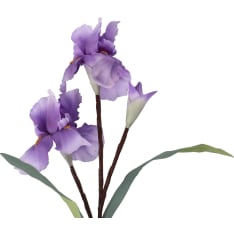 4Living 74cm Iiris oksa