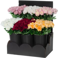 4Living 60cm pioni lajitelma