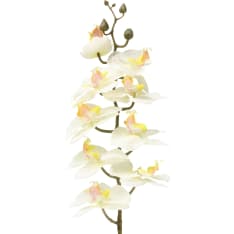 4Living 73cm valkoinen perhoskämmekkä oksa