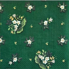 Havi Jolly green napkin