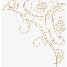 Havi Unelma 24 cm 40 decorative napkins