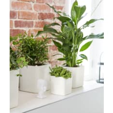 Orthex Eden Recycled 12cm herb pot