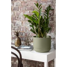 Orthex Paulina Recycled olive green protective pot