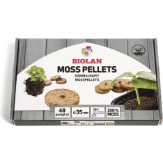 Biola 48 moss buttons