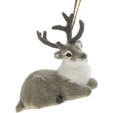 Weiste lepäävä poro oksakoriste