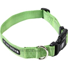 Icepeak Winner Classic Dog Collar