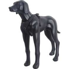 Icepeak Highway Black Dog Harness