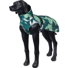 Icepeak Northlander emerald Dog Jacket