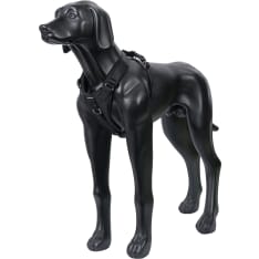 Icepeak Pet Tour autovaljas