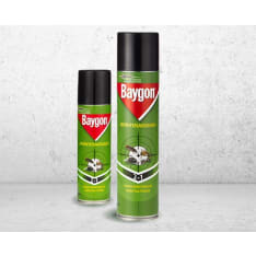 Baygon 2in1 hyönteisaerosoli